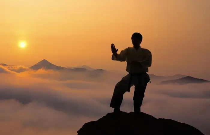 Kungfu pose